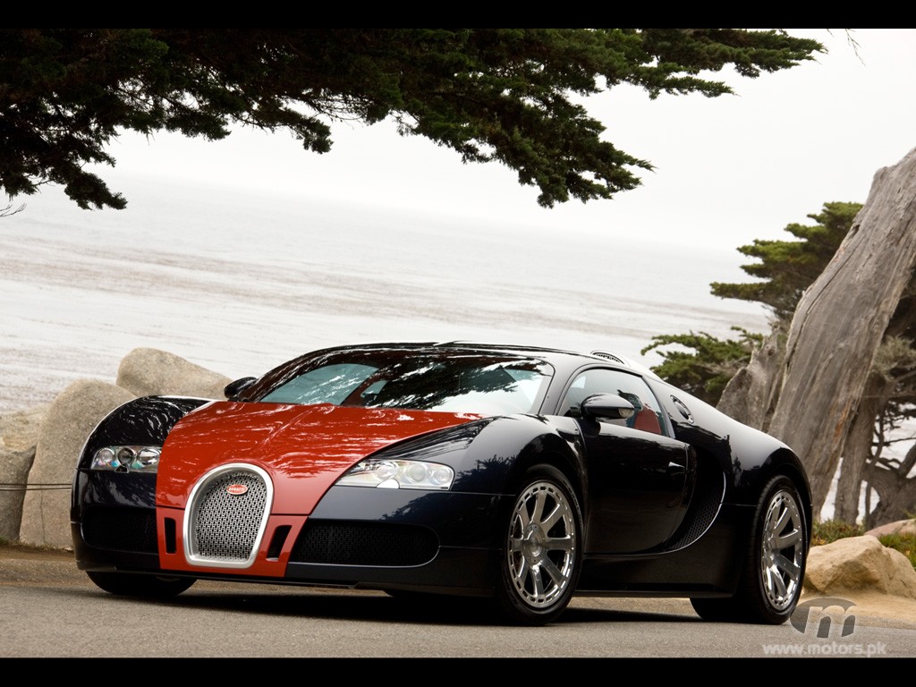 bugatti veyrons top speed